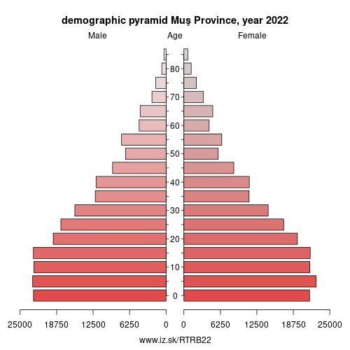 demographic pyramid TRB22 Muş Province