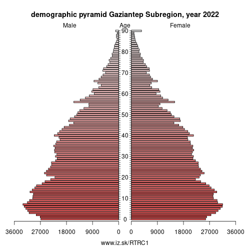 demographic pyramid TRC1 Gaziantep Subregion