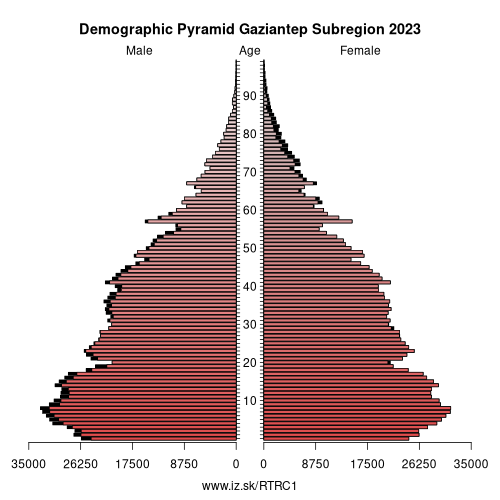 demographic pyramid TRC1 Gaziantep Subregion