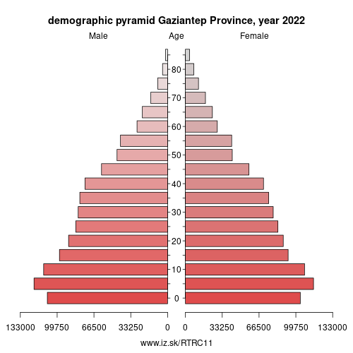 demographic pyramid TRC11 Gaziantep Province