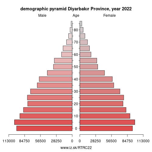 demographic pyramid TRC22 Diyarbakır Province