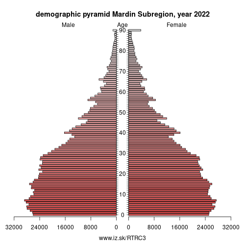 demographic pyramid TRC3 Mardin Subregion