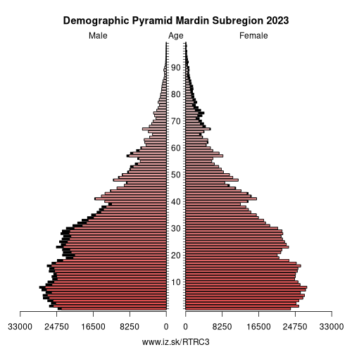 demographic pyramid TRC3 Mardin Subregion