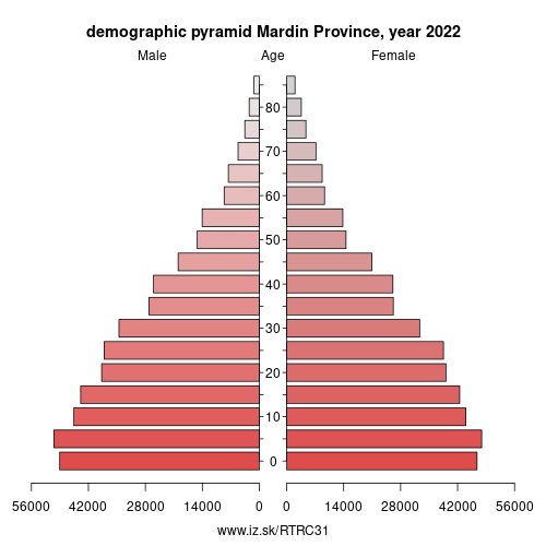 demographic pyramid TRC31 Mardin Province