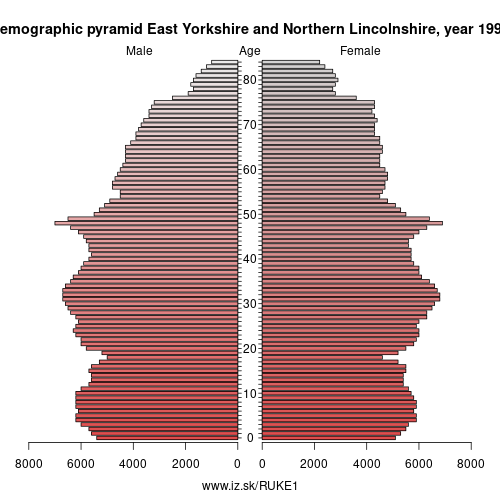 demographic pyramid UKE1 1996 East Yorkshire and Northern Lincolnshire, population pyramid of East Yorkshire and Northern Lincolnshire