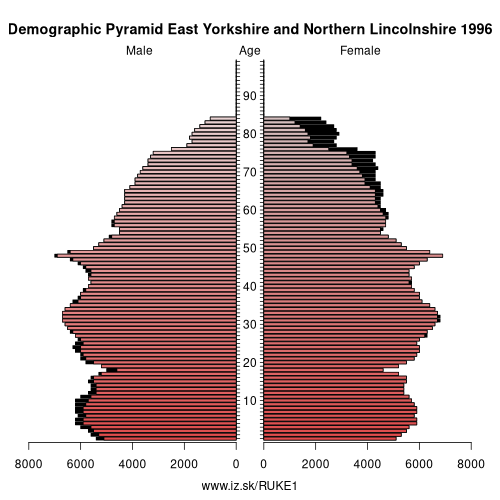 demographic pyramid UKE1 1996 East Yorkshire and Northern Lincolnshire, population pyramid of East Yorkshire and Northern Lincolnshire