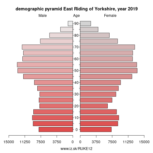 demographic pyramid UKE12 East Riding of Yorkshire