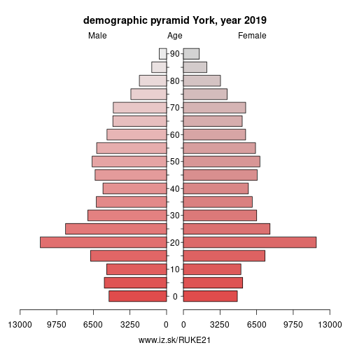 demographic pyramid UKE21 York
