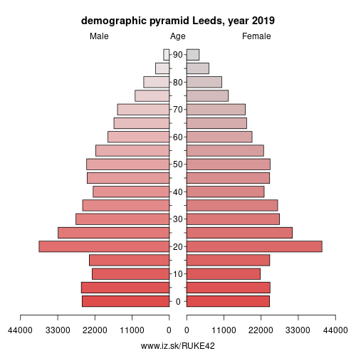 demographic pyramid UKE42 Leeds