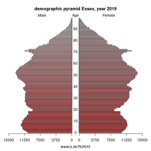 demographic pyramid UKH3 Essex