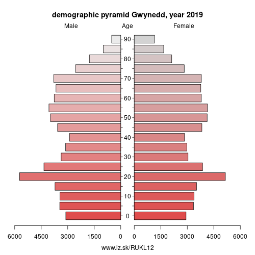 demographic pyramid UKL12 Gwynedd