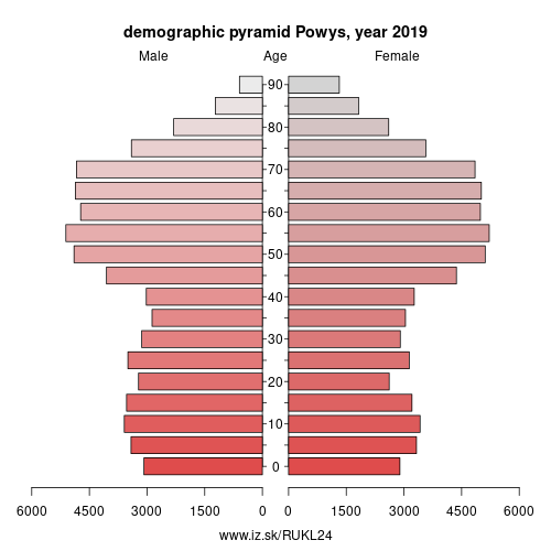 demographic pyramid UKL24 Powys