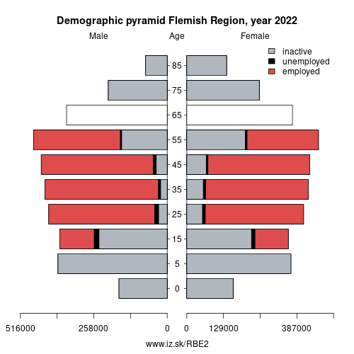 demographic pyramid BE2 Flemish Region based on economic activity – employed, unemploye, inactive
