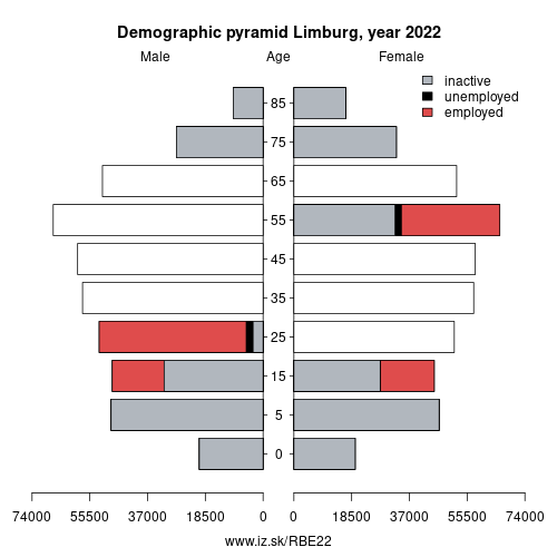 demographic pyramid BE22 Limburg based on economic activity – employed, unemploye, inactive