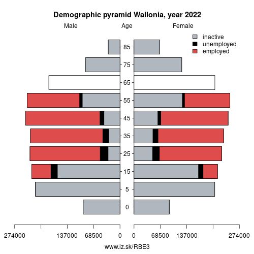 demographic pyramid BE3 Walloon Region based on economic activity – employed, unemploye, inactive