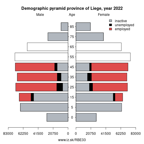 demographic pyramid BE33 province of Liege based on economic activity – employed, unemploye, inactive