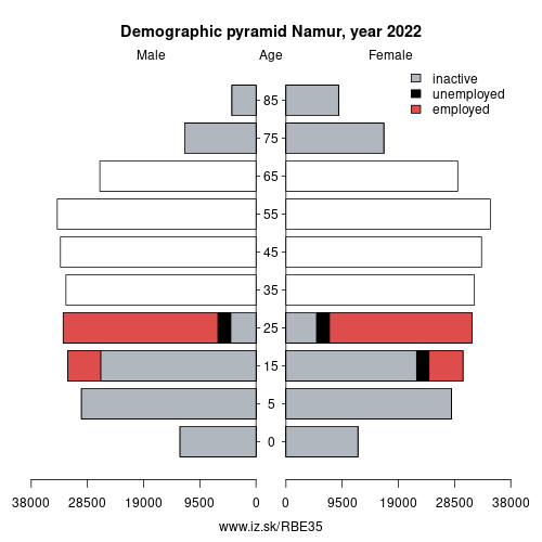 demographic pyramid BE35 Province of Namur based on economic activity – employed, unemploye, inactive