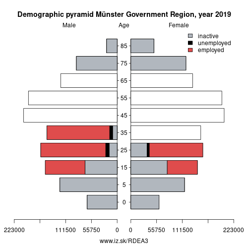 demographic pyramid DEA3 Münster Government Region based on economic activity – employed, unemploye, inactive