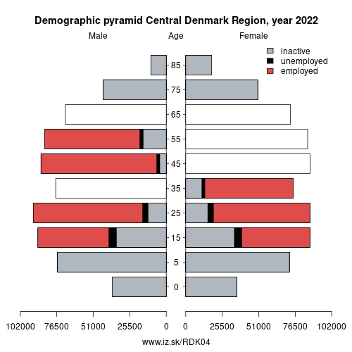 demographic pyramid DK04 Central Denmark Region based on economic activity – employed, unemploye, inactive
