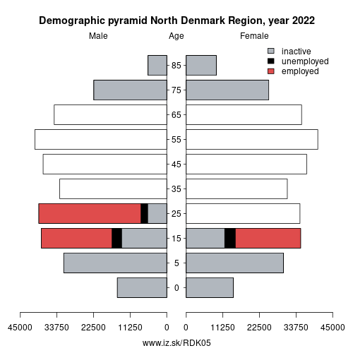 demographic pyramid DK05 North Denmark Region based on economic activity – employed, unemploye, inactive