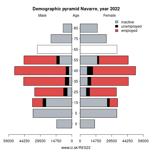 demographic pyramid ES22 Navarre based on economic activity – employed, unemploye, inactive