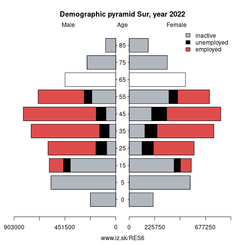 demographic pyramid ES6 Sur based on economic activity – employed, unemploye, inactive