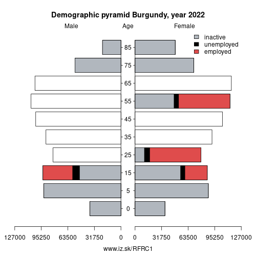 demographic pyramid FRC1 Burgundy based on economic activity – employed, unemploye, inactive