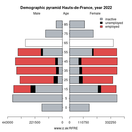 demographic pyramid FRE Hauts-de-France based on economic activity – employed, unemploye, inactive