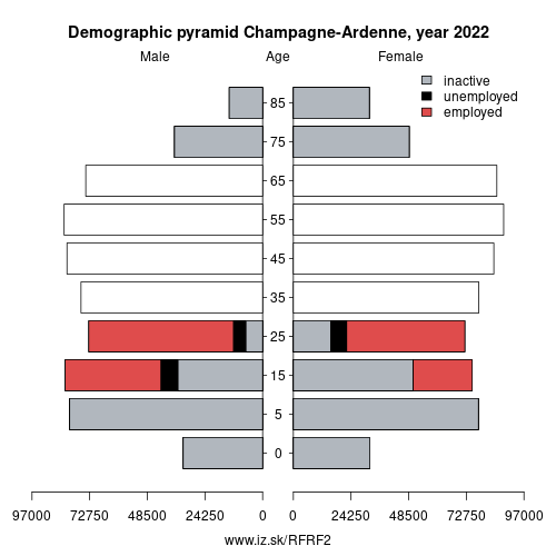demographic pyramid FRF2 Champagne-Ardenne based on economic activity – employed, unemploye, inactive