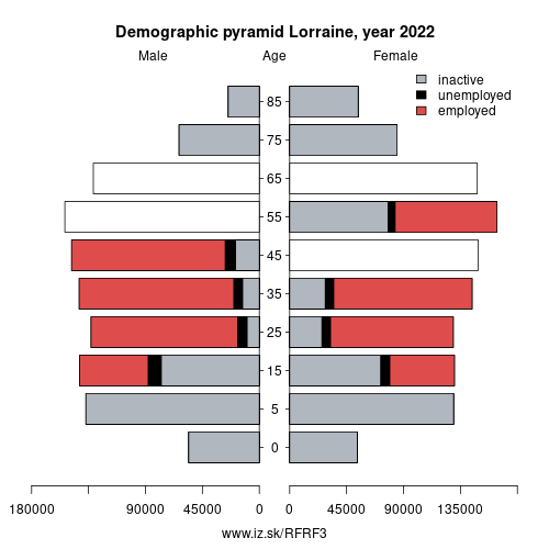 demographic pyramid FRF3 Lorraine based on economic activity – employed, unemploye, inactive