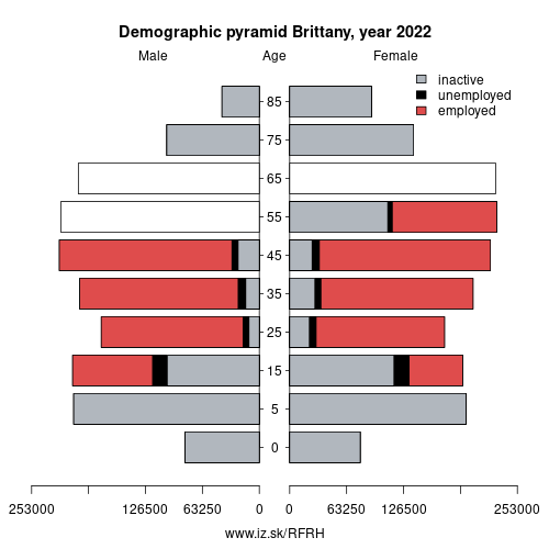 demographic pyramid FRH Brittany based on economic activity – employed, unemploye, inactive