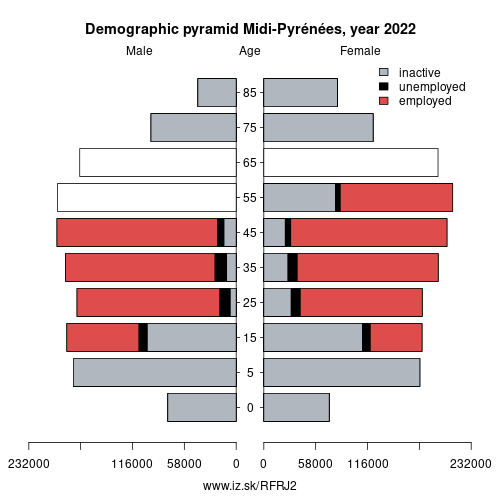 demographic pyramid FRJ2 Midi-Pyrénées based on economic activity – employed, unemploye, inactive