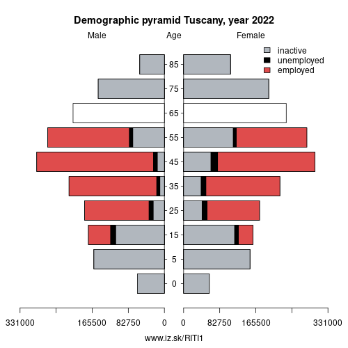 demographic-pyramid-economic-activity-ITI1.png