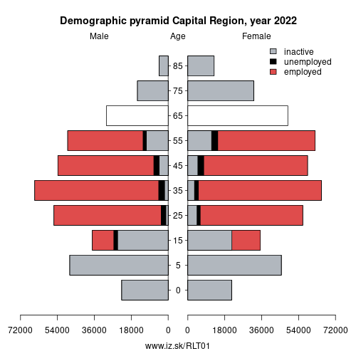 demographic pyramid LT01 Capital Region based on economic activity – employed, unemploye, inactive