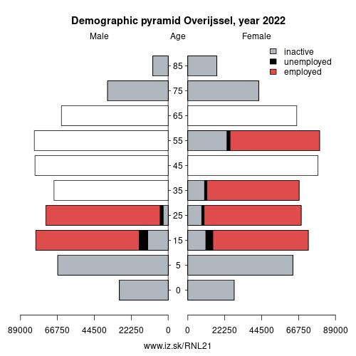demographic pyramid NL21 Overijssel based on economic activity – employed, unemploye, inactive