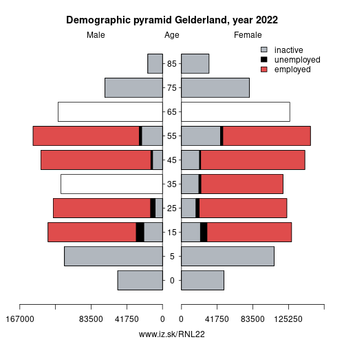 demographic pyramid NL22 Gelderland based on economic activity – employed, unemploye, inactive