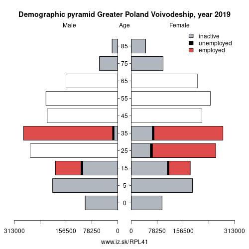 demographic pyramid PL41 Greater Poland Voivodeship based on economic activity – employed, unemploye, inactive