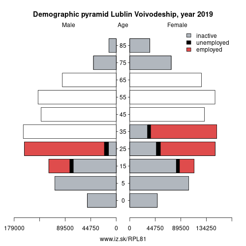 demographic pyramid PL81 Lublin Voivodeship based on economic activity – employed, unemploye, inactive