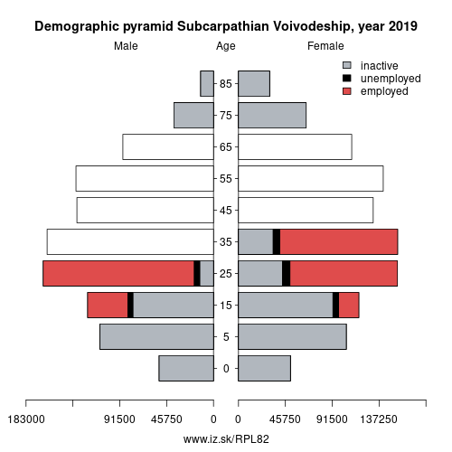demographic pyramid PL82 Subcarpathian Voivodeship based on economic activity – employed, unemploye, inactive