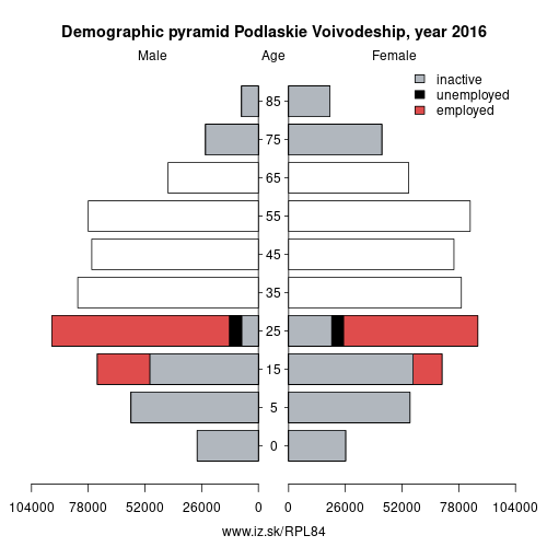 demographic pyramid PL84 Podlaskie Voivodeship based on economic activity – employed, unemploye, inactive