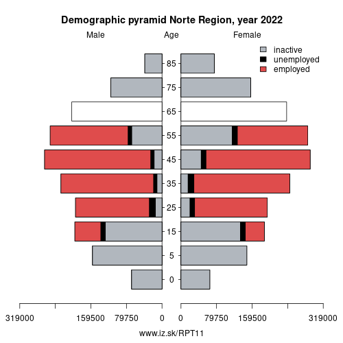 demographic pyramid PT11 Norte Region based on economic activity – employed, unemploye, inactive