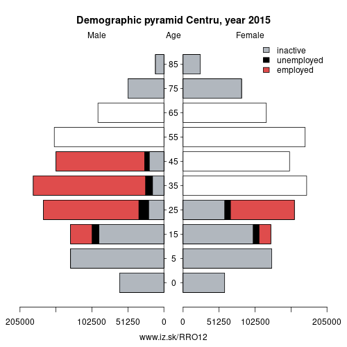demographic pyramid RO12 Centru based on economic activity – employed, unemploye, inactive
