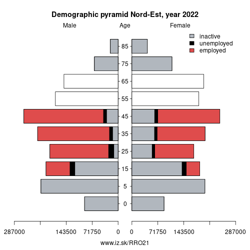 demographic pyramid RO21 Nord-Est based on economic activity – employed, unemploye, inactive