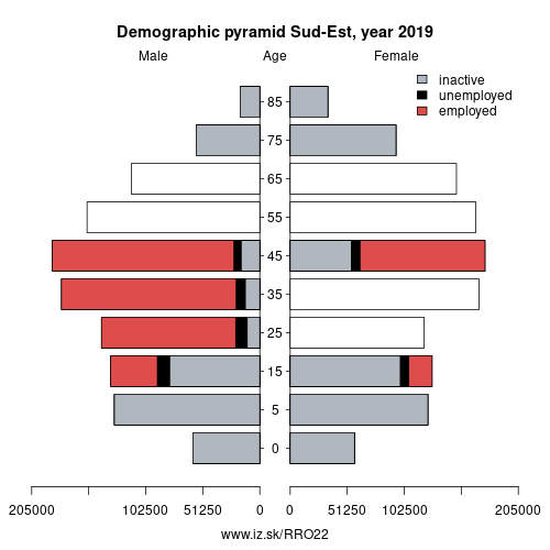 demographic pyramid RO22 Sud-Est based on economic activity – employed, unemploye, inactive