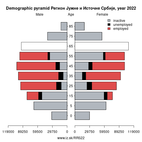 demographic pyramid RS22 Регион Јужне и Источне Србије based on economic activity – employed, unemploye, inactive