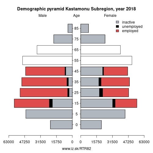 demographic pyramid TR82 Kastamonu Subregion based on economic activity – employed, unemploye, inactive