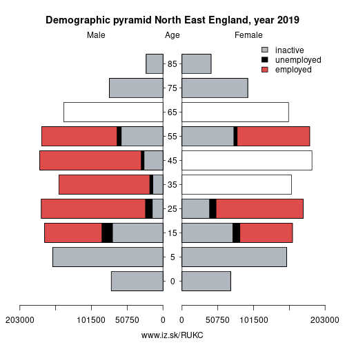 demographic pyramid UKC North East England based on economic activity – employed, unemploye, inactive