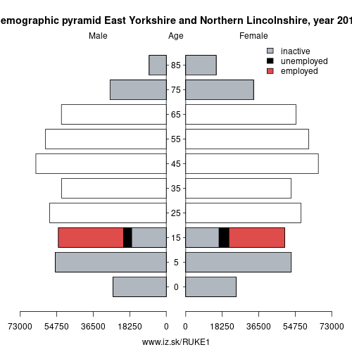 demographic pyramid UKE1 East Yorkshire and Northern Lincolnshire based on economic activity – employed, unemploye, inactive