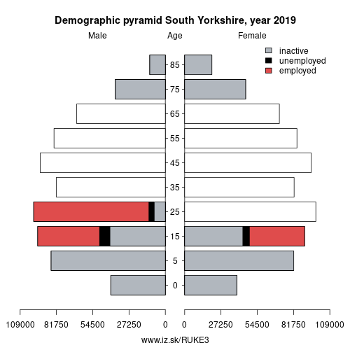 demographic pyramid UKE3 South Yorkshire based on economic activity – employed, unemploye, inactive