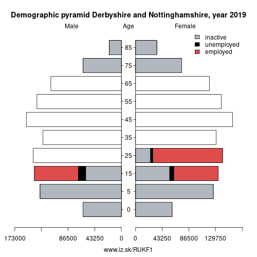 demographic pyramid UKF1 Derbyshire and Nottinghamshire based on economic activity – employed, unemploye, inactive